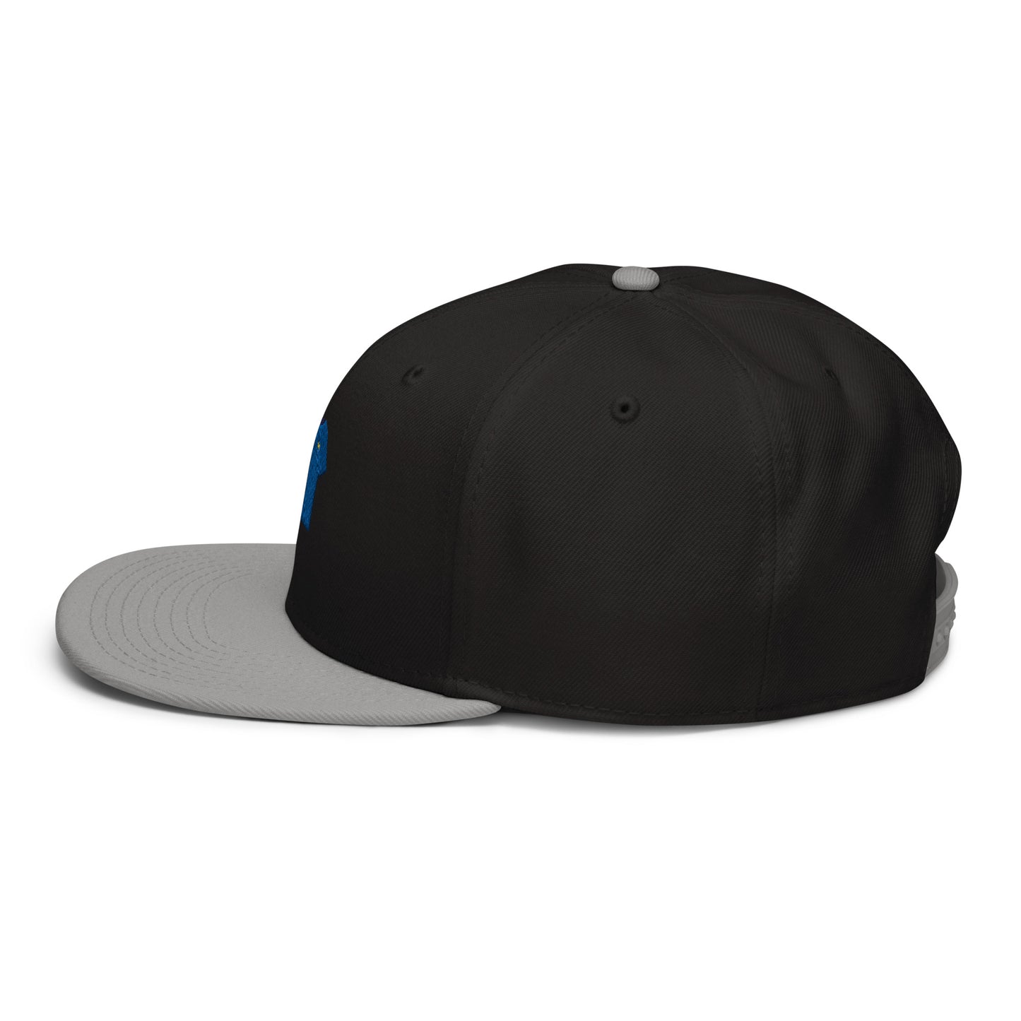 Casquette Snapback France