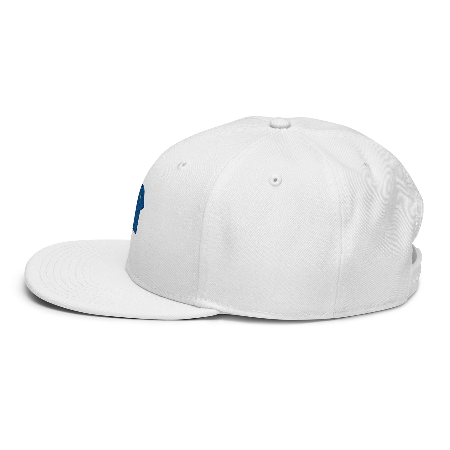 Casquette Snapback France